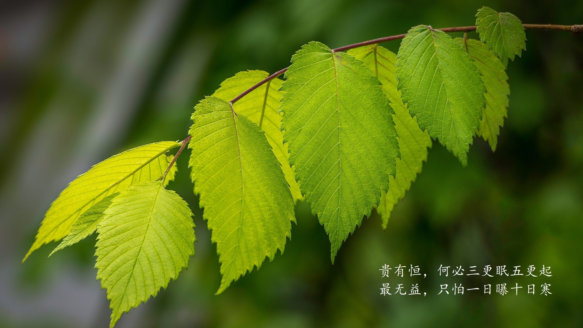 车手走进社区，传递正能量