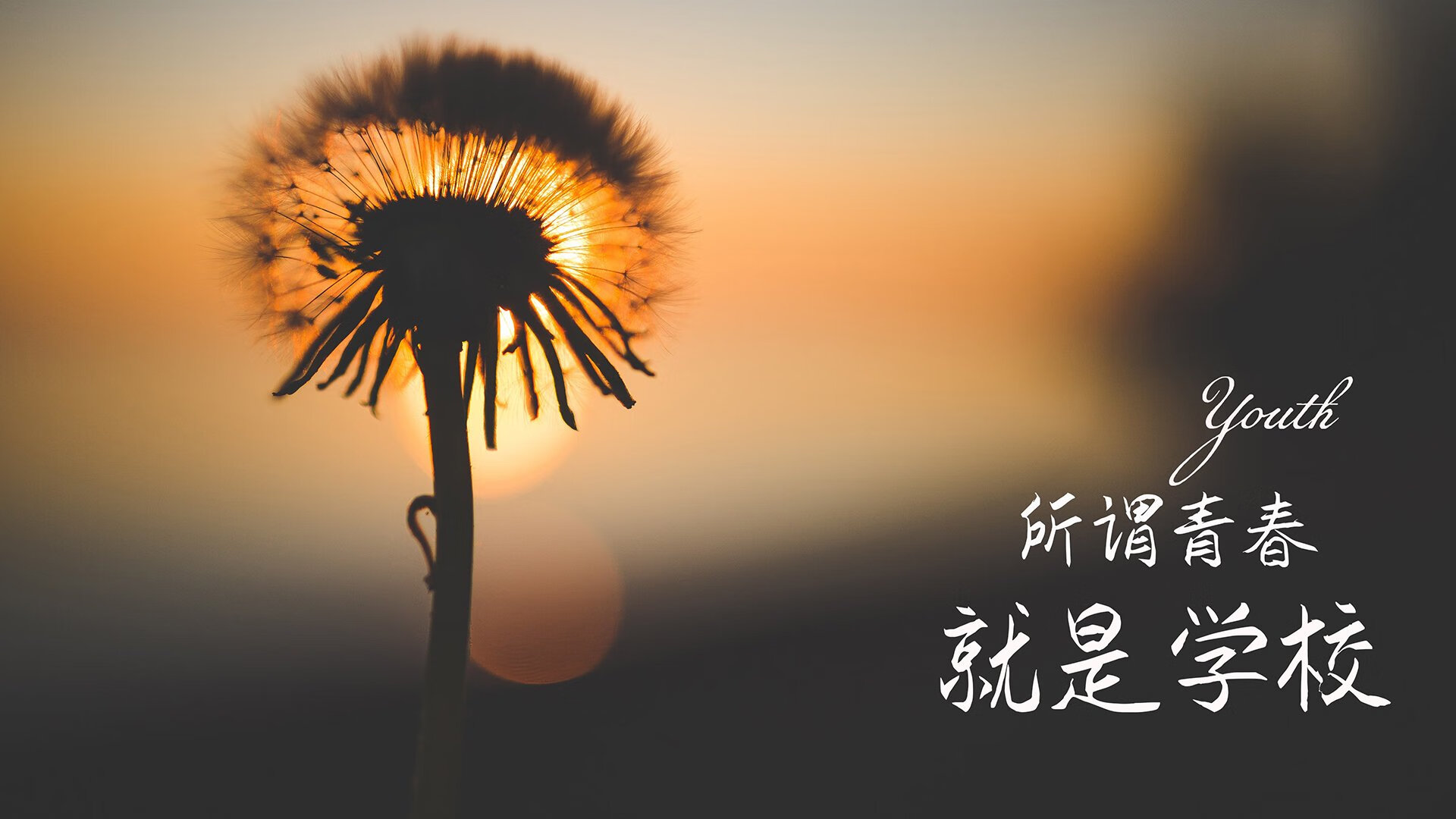 逆转传奇：欧冠历史上的“最牛逆转”战役，欧冠最不可思议的逆转
