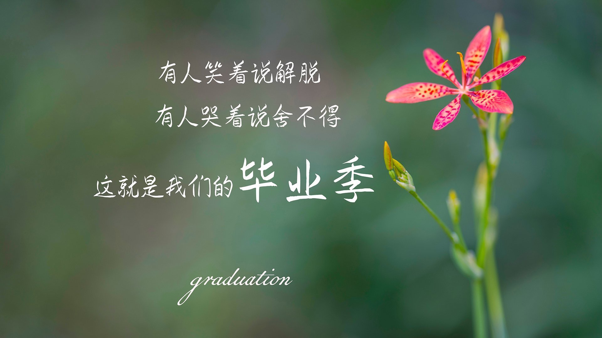 开云APP下载-国足冲刺阶段加强战术演练，国足冲刺阶段加强战术演练的措施
