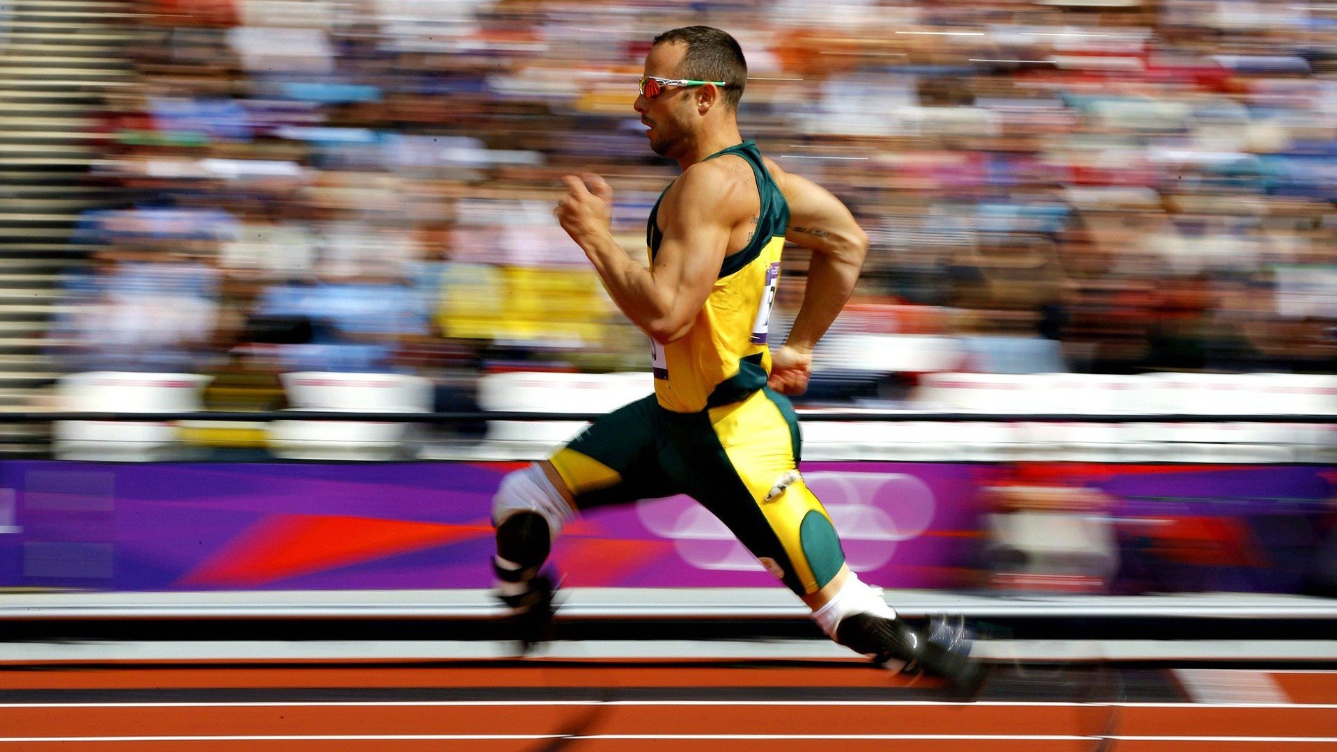 _极地冰原极限跑：追逐白雪的速度梦想_，极地冰在哪里